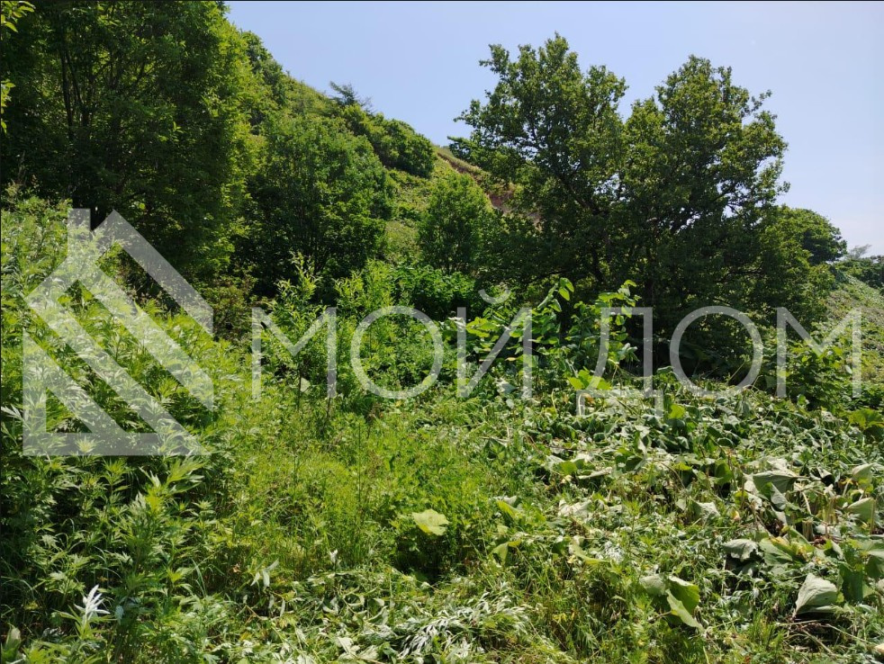 Фото - 1, объекта №