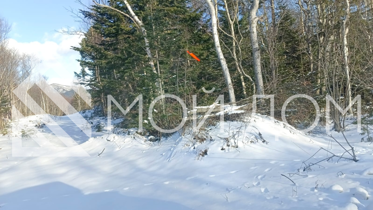 Фото - 2, объекта №