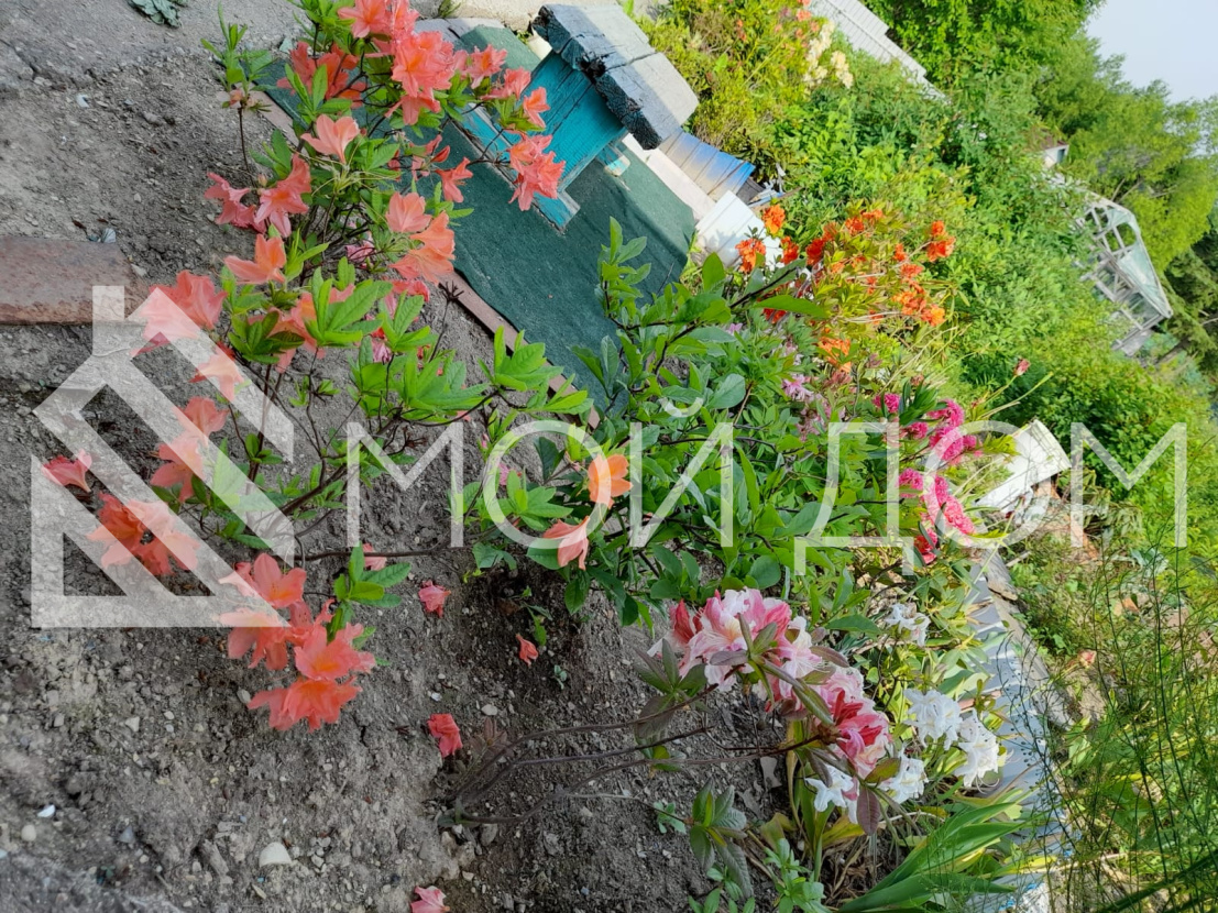 Фото - 5, объекта №