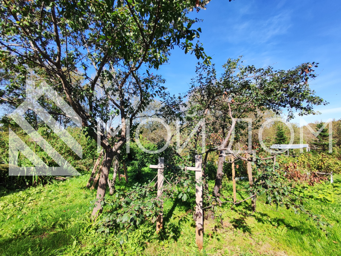 Фото - 1, объекта №