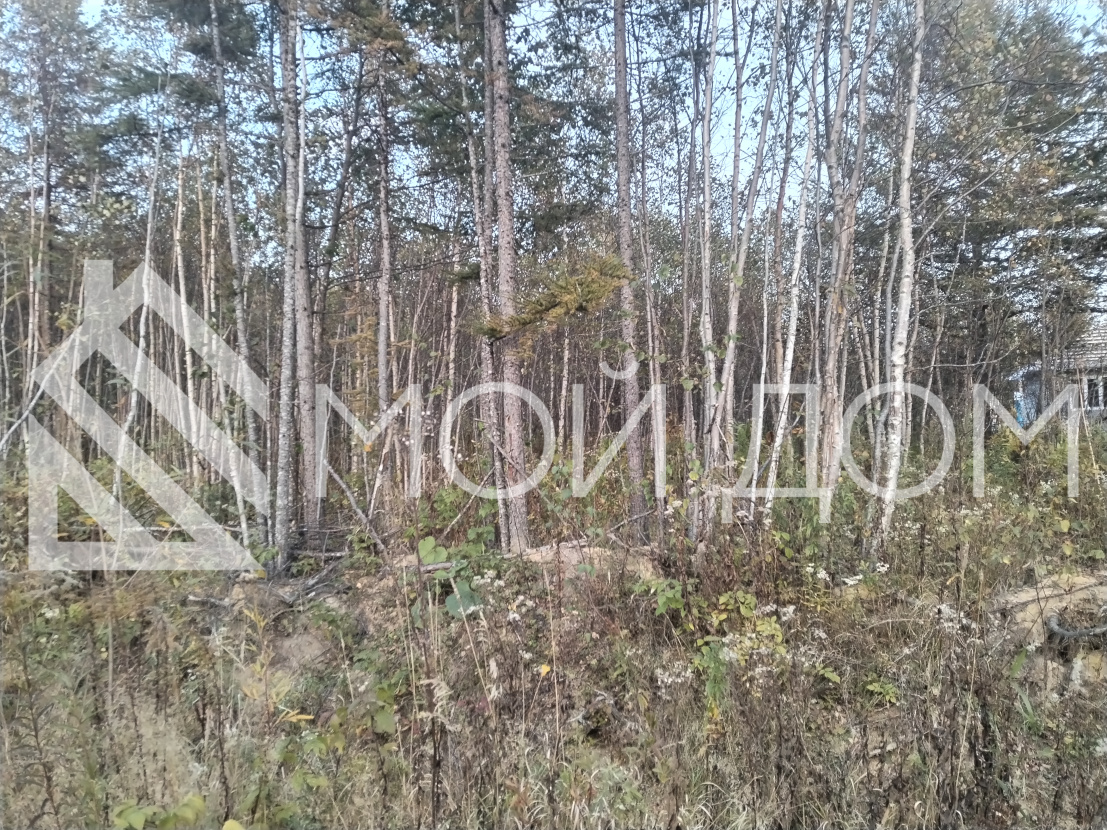 Фото - 3, объекта №