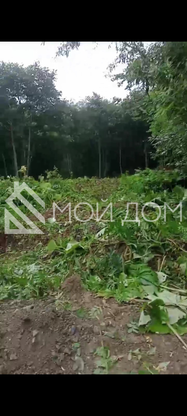 Фото - 3, объекта №