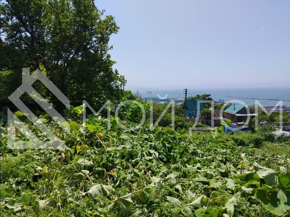 Фото - 3, объекта №