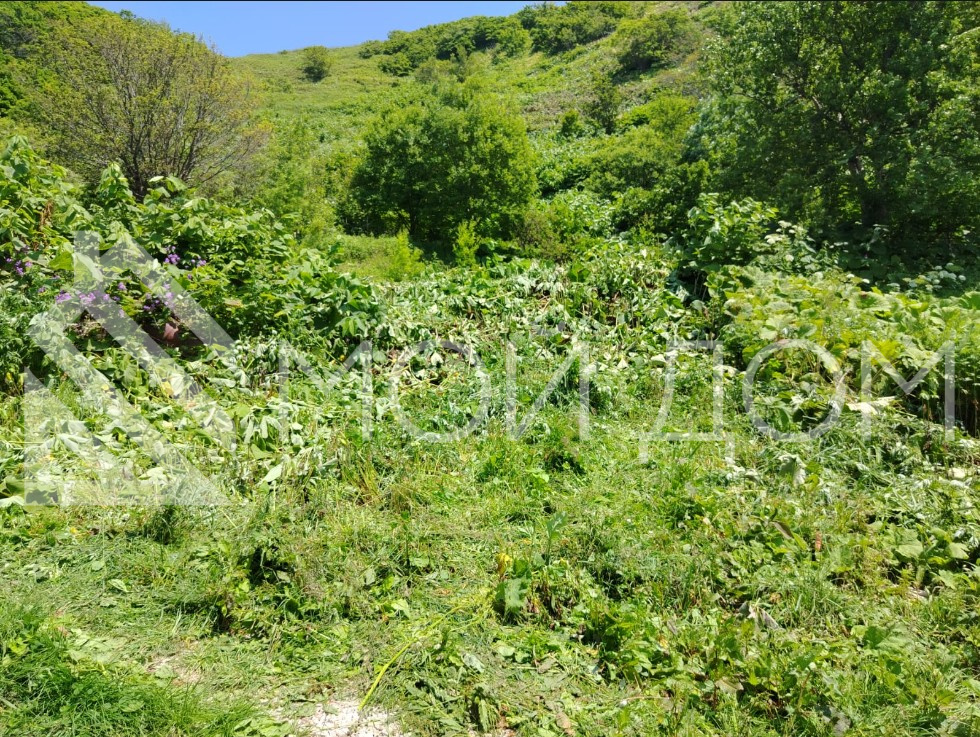 Фото - 5, объекта №