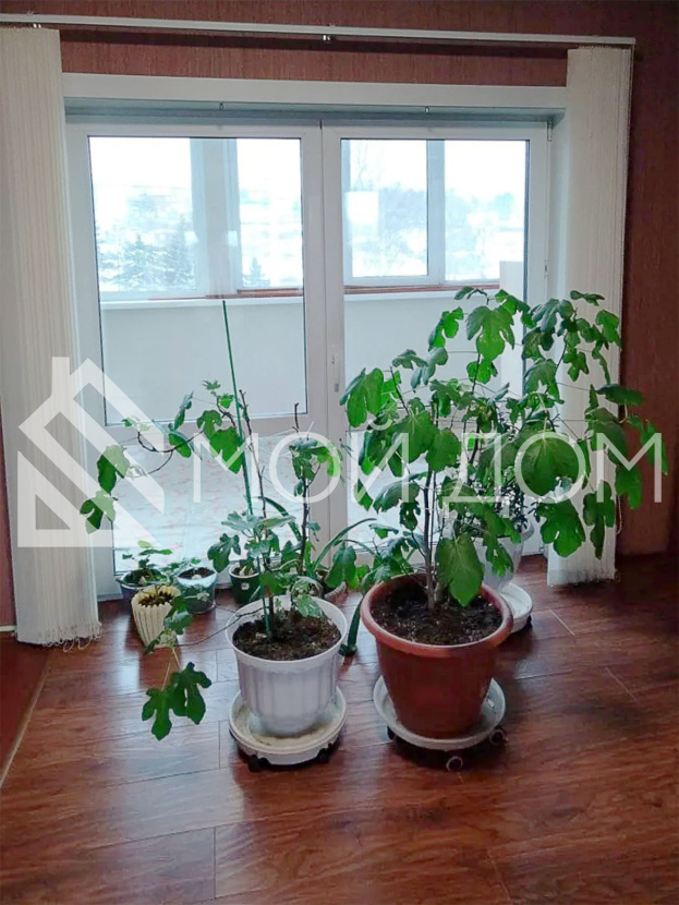 Фото - 7, объекта №