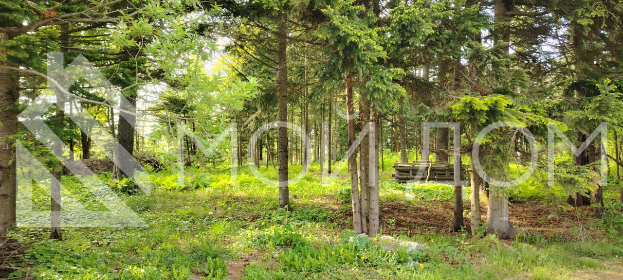 Фото - 0, объекта №