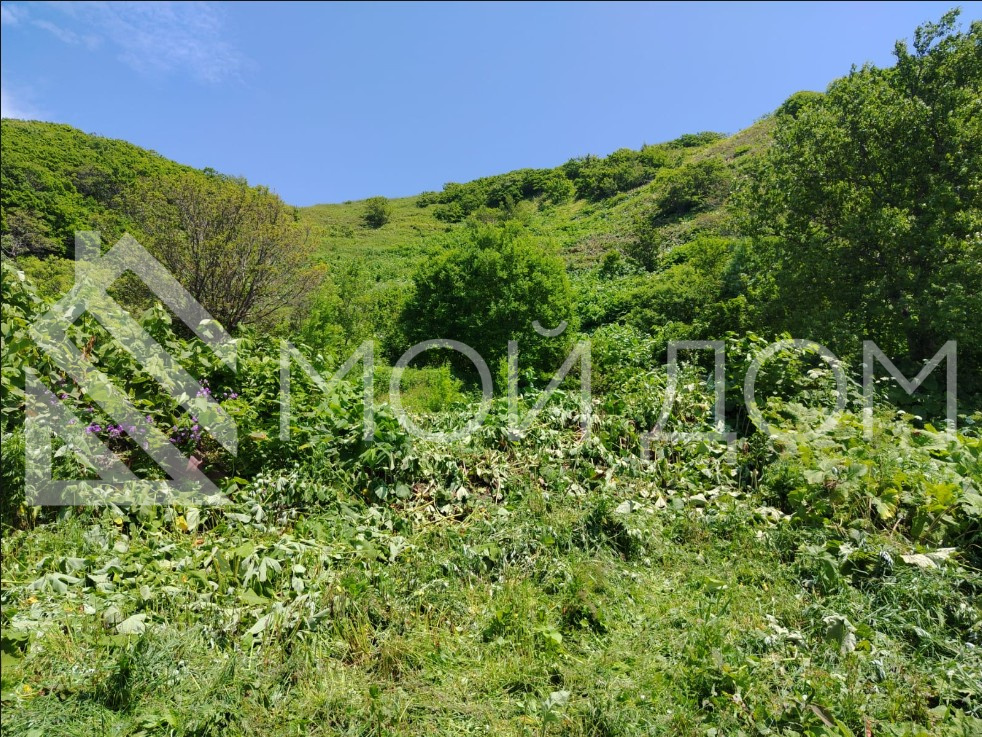 Фото - 12, объекта №