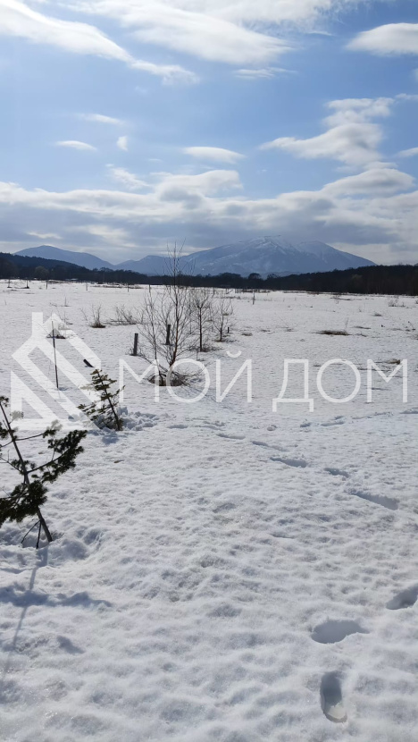 Фото - 4, объекта №