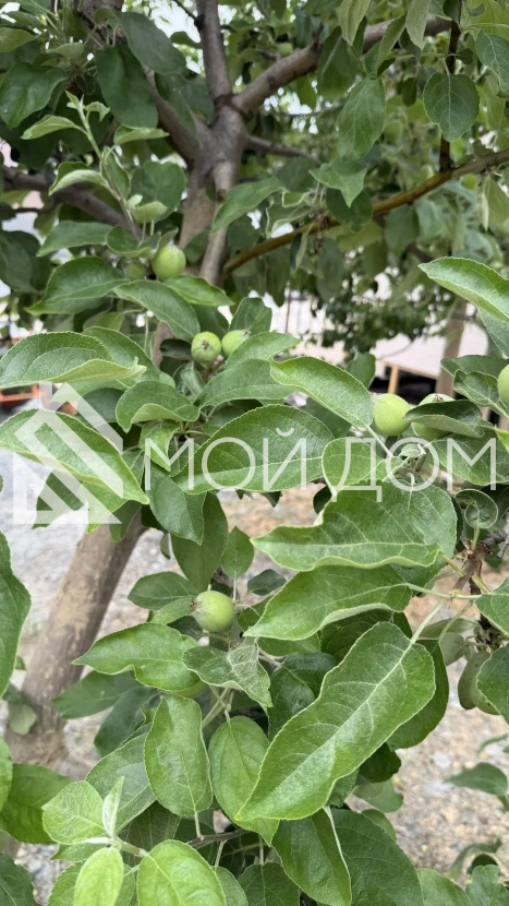 Фото - 19, объекта №