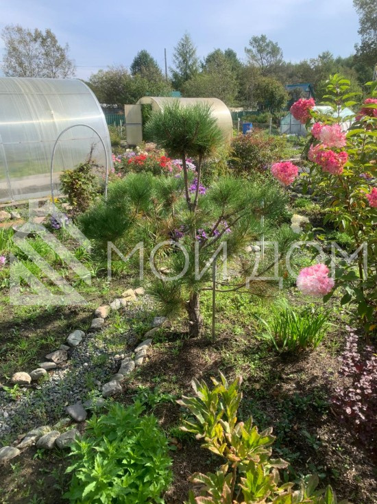 Фото - 14, объекта №