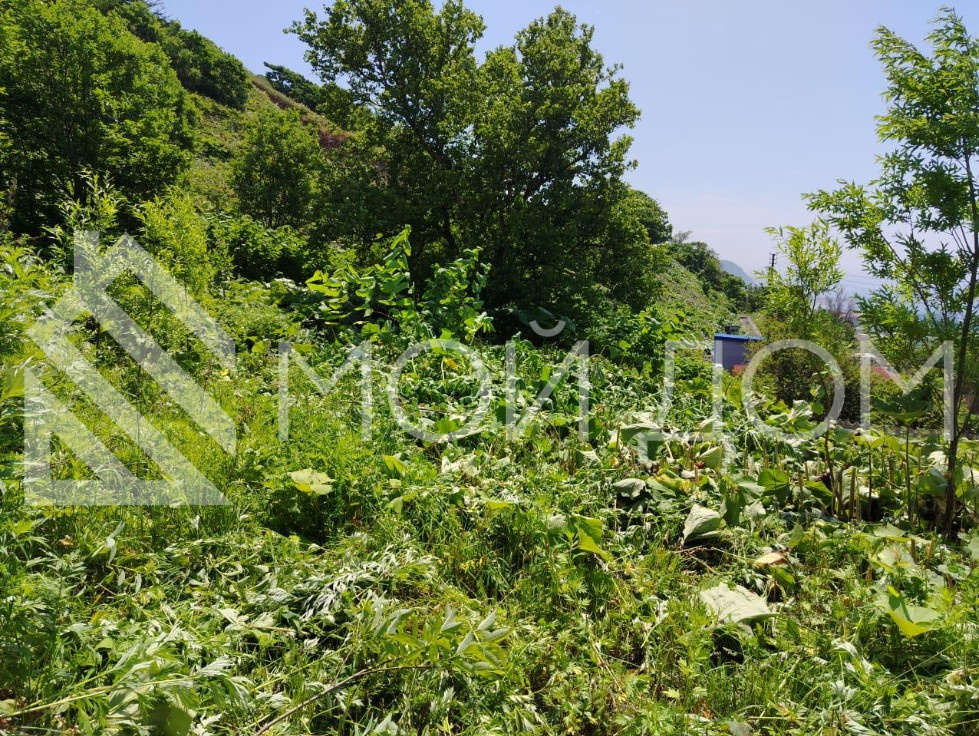 Фото - 10, объекта №