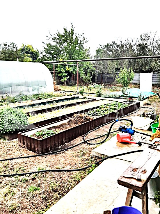 Фото - 4, объекта №