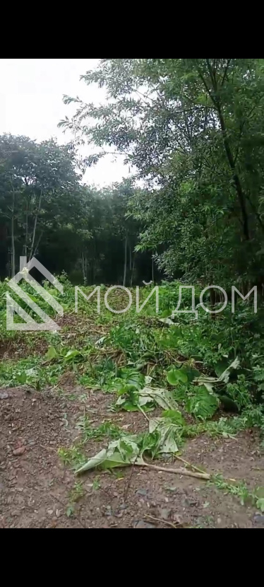 Фото - 0, объекта №