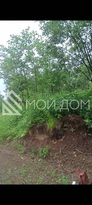 Фото - 1, объекта №