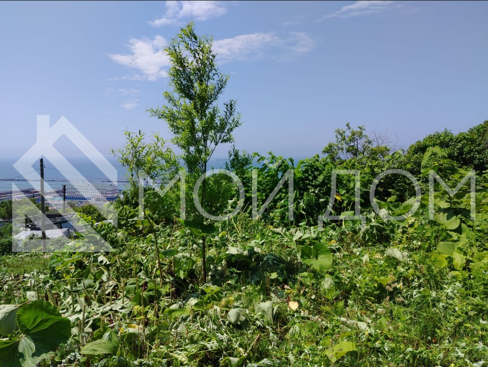 Фото - 6, объекта №