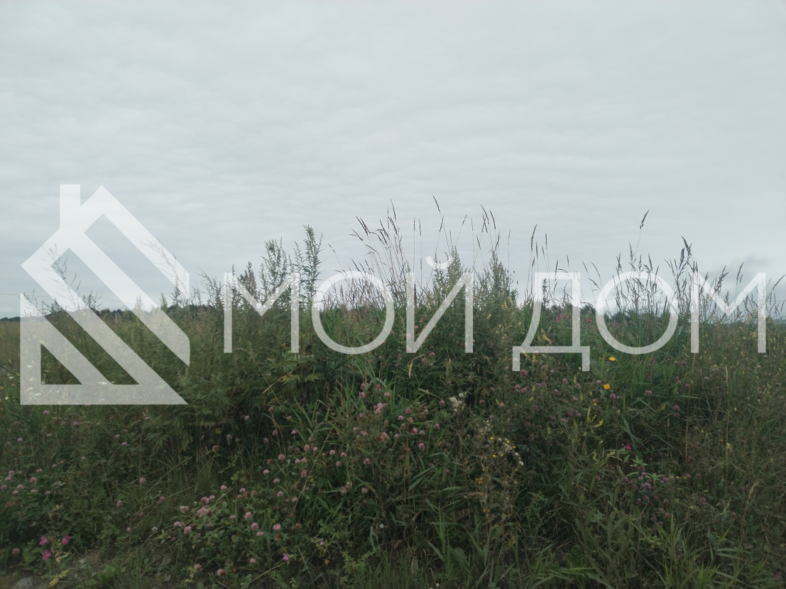 Фото - 3, объекта №