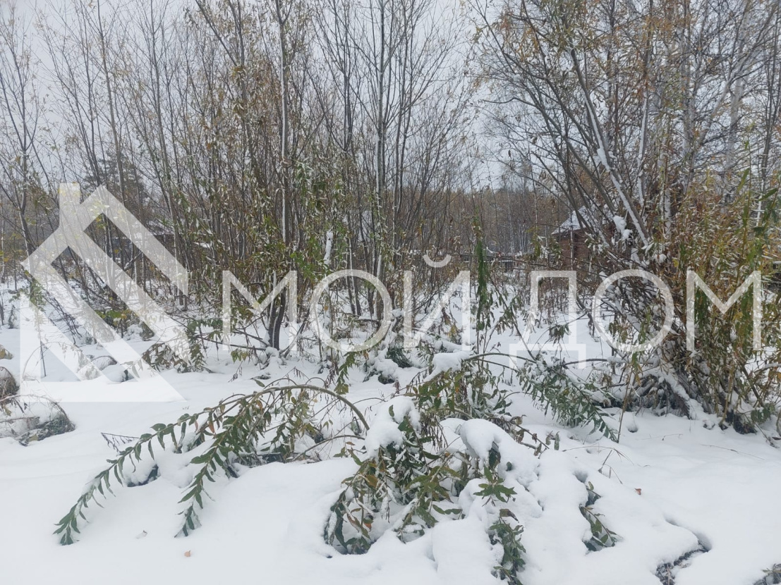 Фото - 2, объекта №