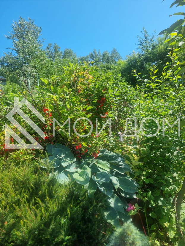 Фото - 16, объекта №