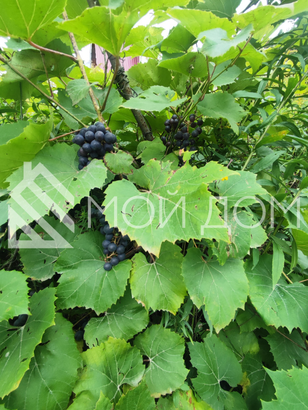 Фото - 7, объекта №