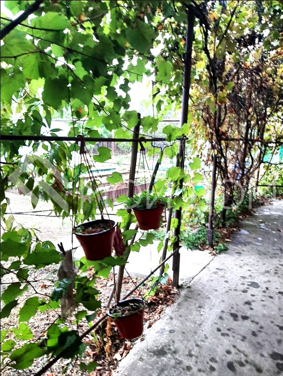 Фото - 5, объекта №