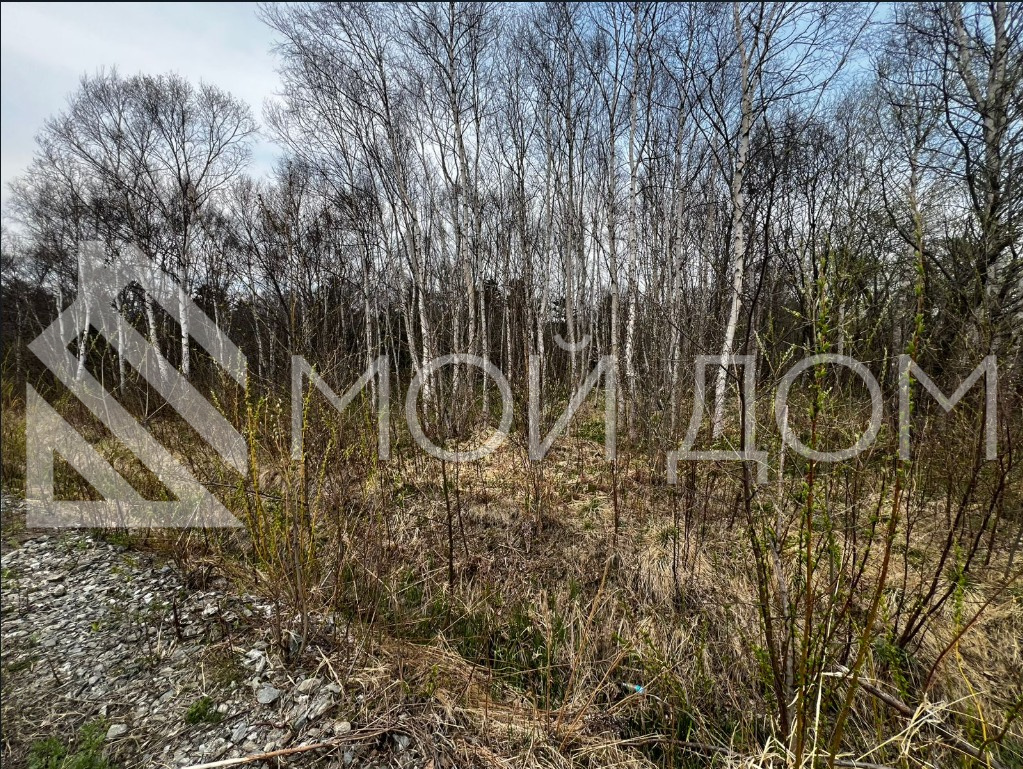 Фото - 5, объекта №