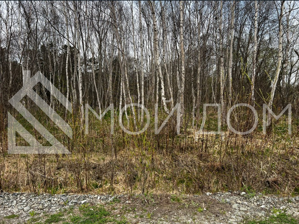 Фото - 4, объекта №