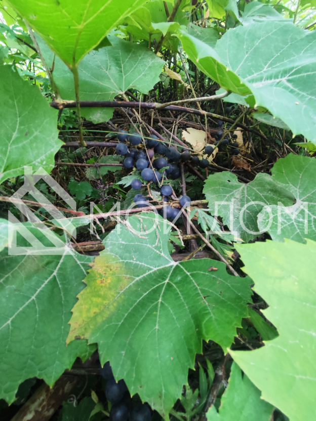 Фото - 6, объекта №