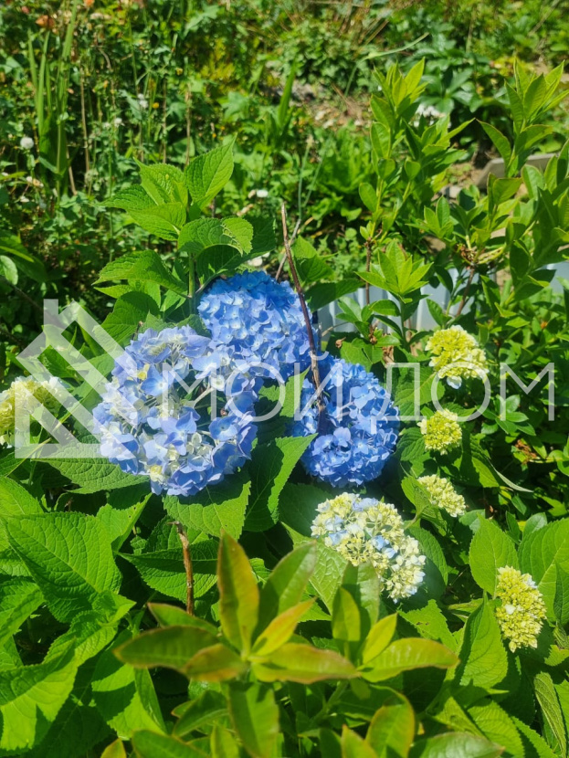 Фото - 20, объекта №