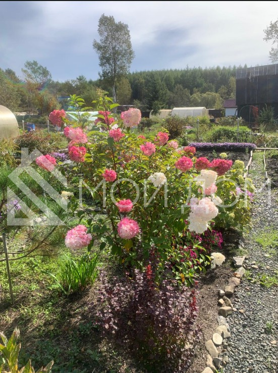 Фото - 15, объекта №