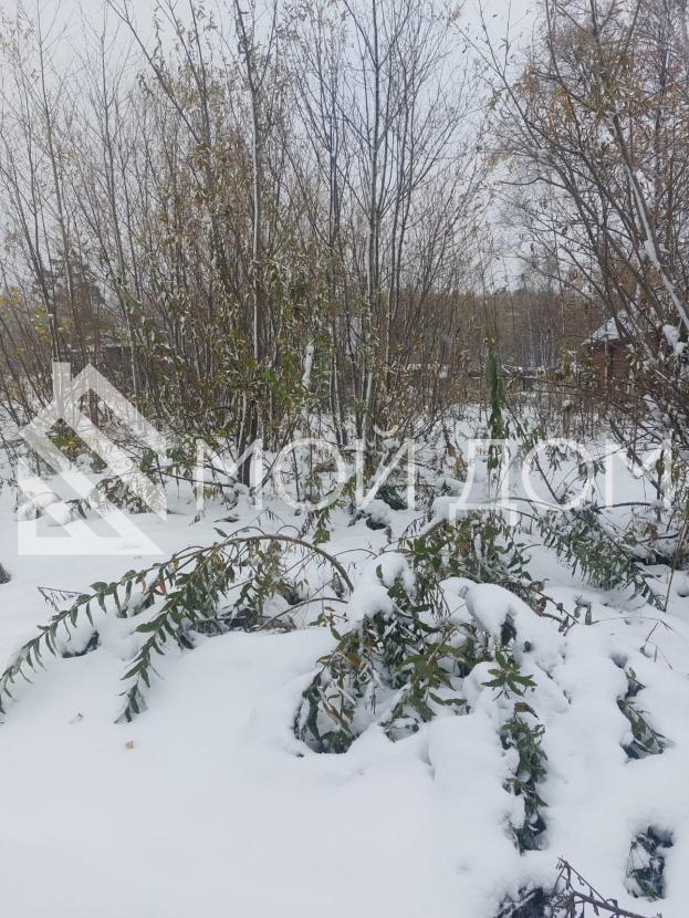 Фото - 3, объекта №