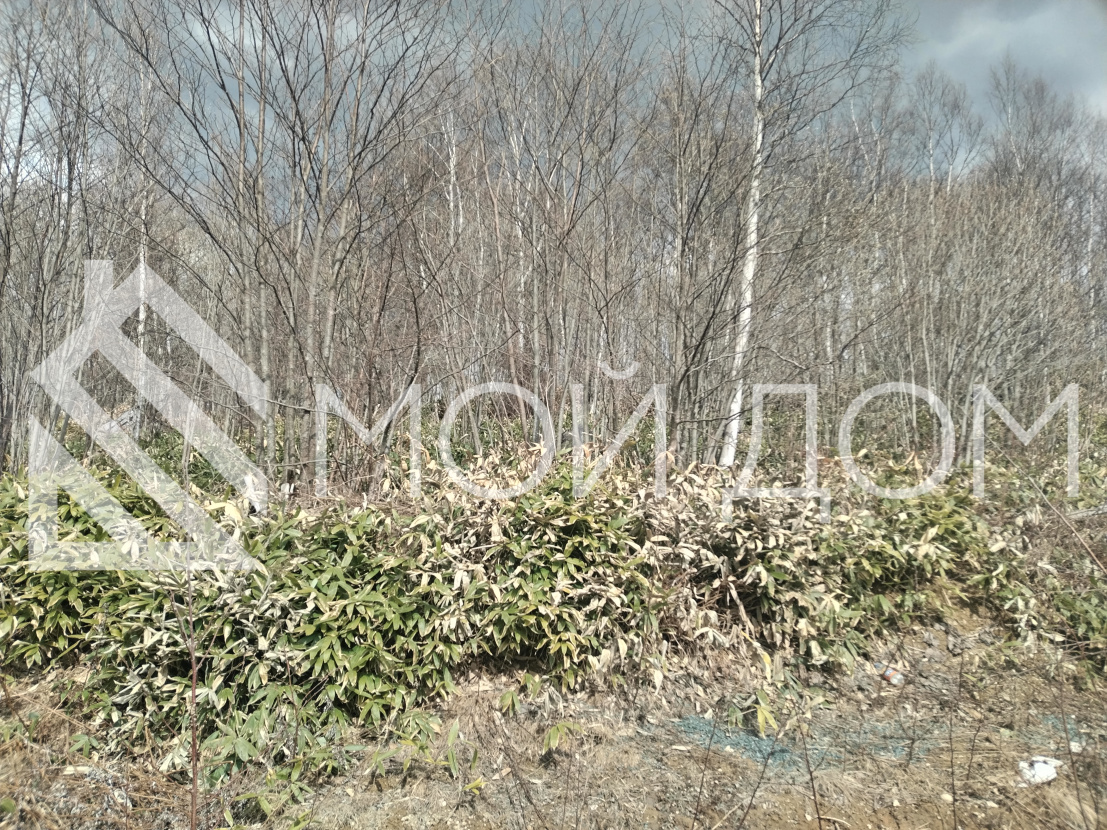 Фото - 4, объекта №