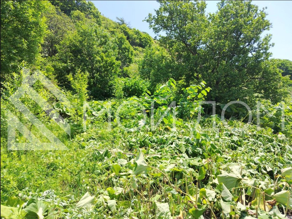 Фото - 4, объекта №